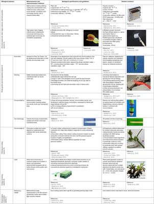 The Bio-Engineering Approach for Plant Investigations and Growing Robots. A Mini-Review